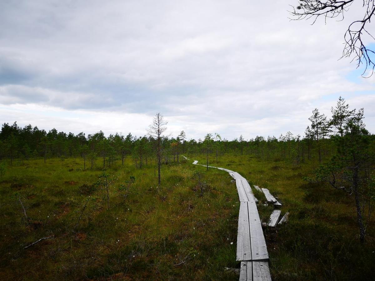 Koivuniemi Cottage Säkylä 외부 사진